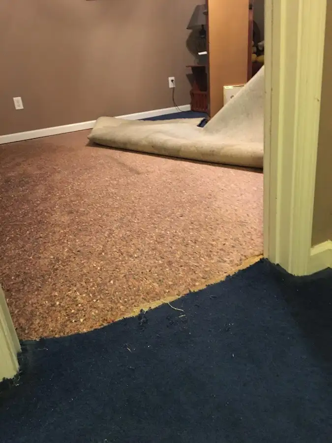 Carpet pad removal revealing water damage during Water Mitigation Services in Madison