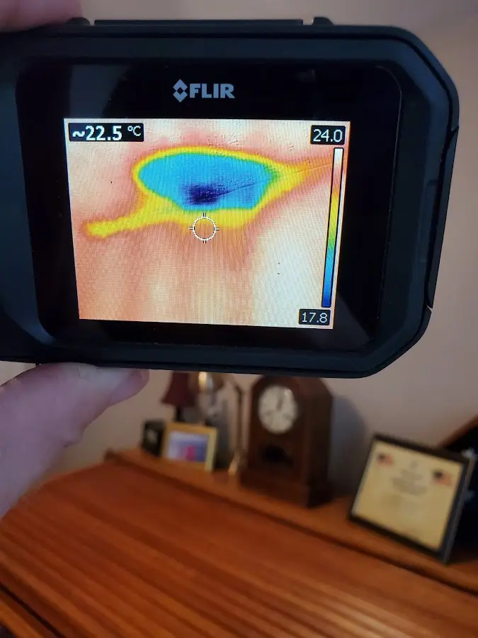 Thermal imaging inspection for water damage in Madison