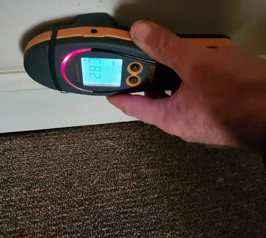 Moisture detection at baseboard during Burst Pipe Cleanup in Madison